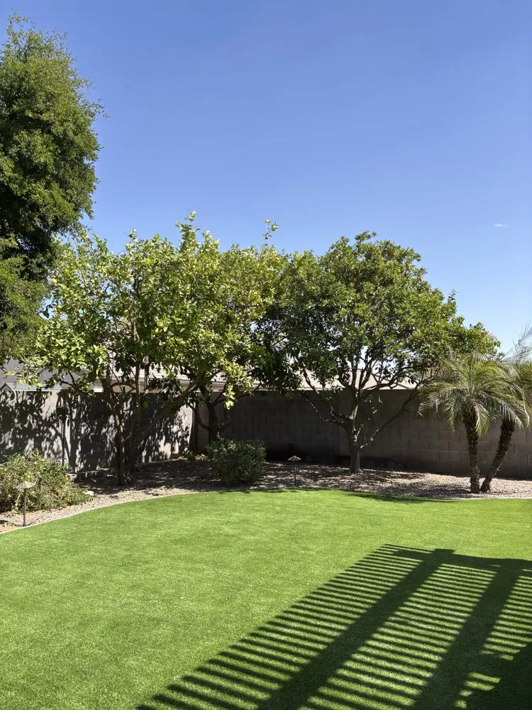 Reliable landscape installation in Mesa, AZ - Montejo landscape management