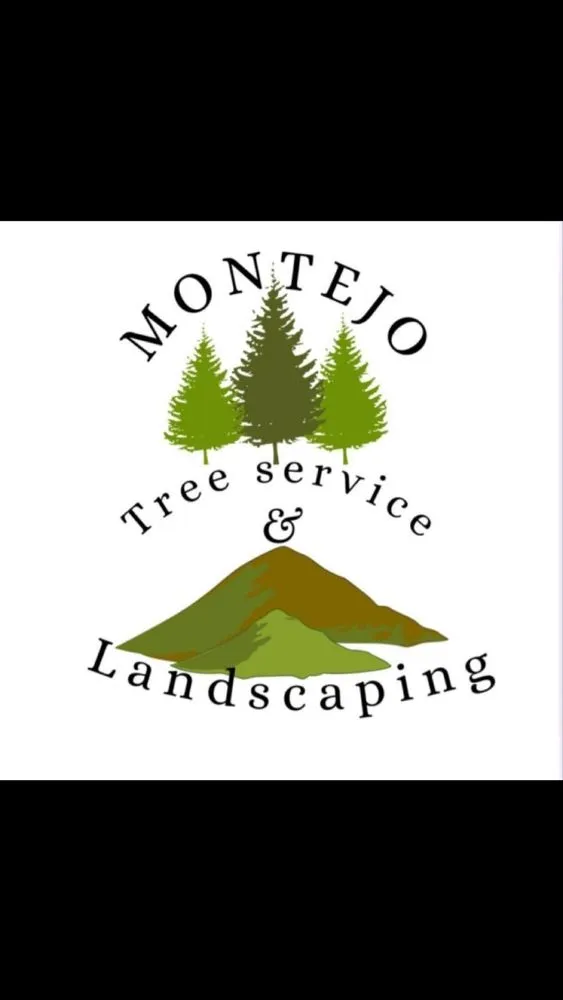 Reliable yard maintenance experts serving Belfair, WA - Montejo Landscaping and Tree Services