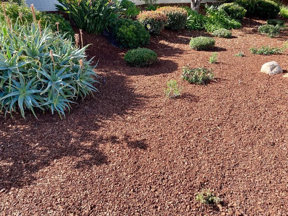 Trusted garden landscaping in Poway, CA - Montejo Landscaping
