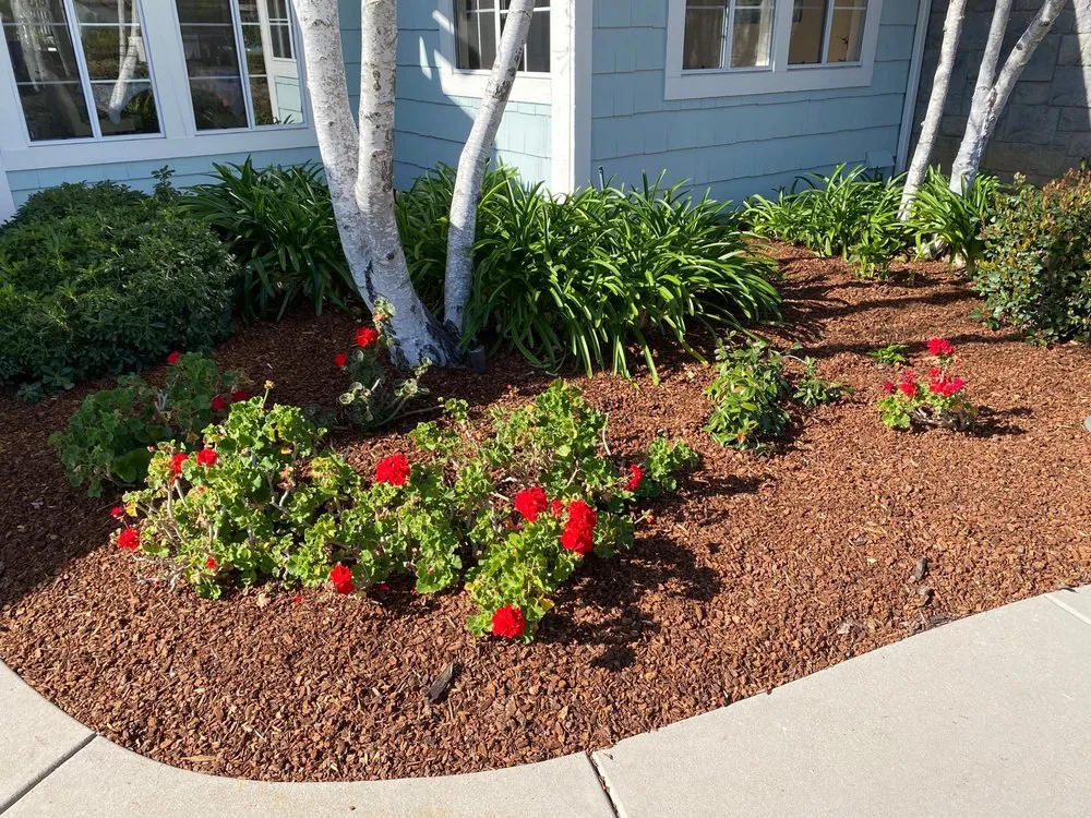 Trusted garden landscaping in Poway, CA - Montejo Landscaping