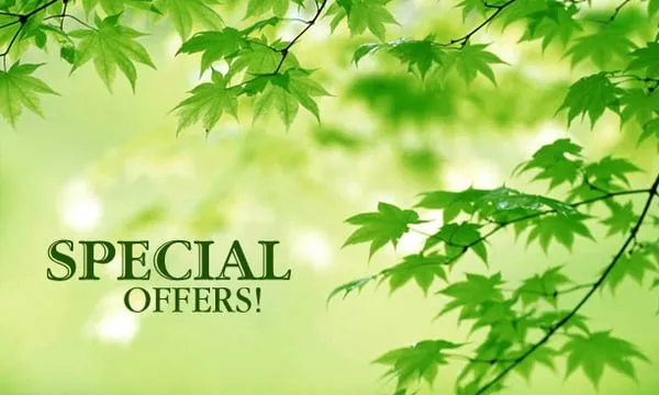 Montella Landscaping & Tree Service
