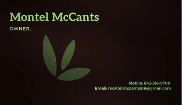 Expert yard cleanup service for residential properties in Conway, SC by MontelLawncare