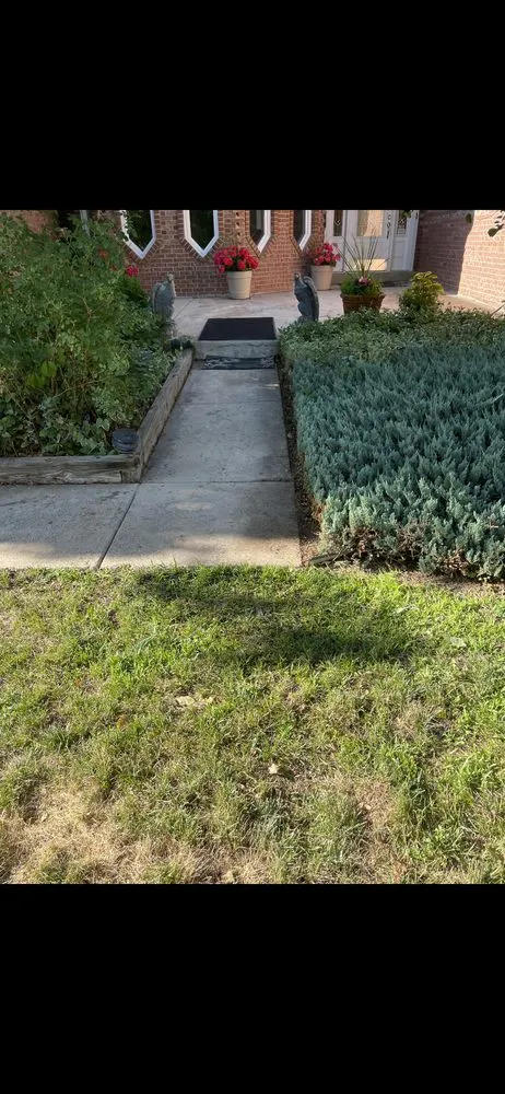 Local yard cleanup service experts serving Aurora, CO - Montelongo Father & Son Landscaping