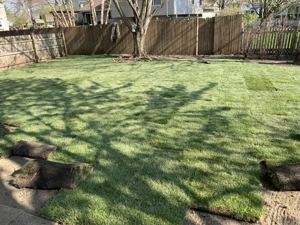 Expert landscaping services for outdoor upgrades across Aurora, IL - Montenegro Landscaping