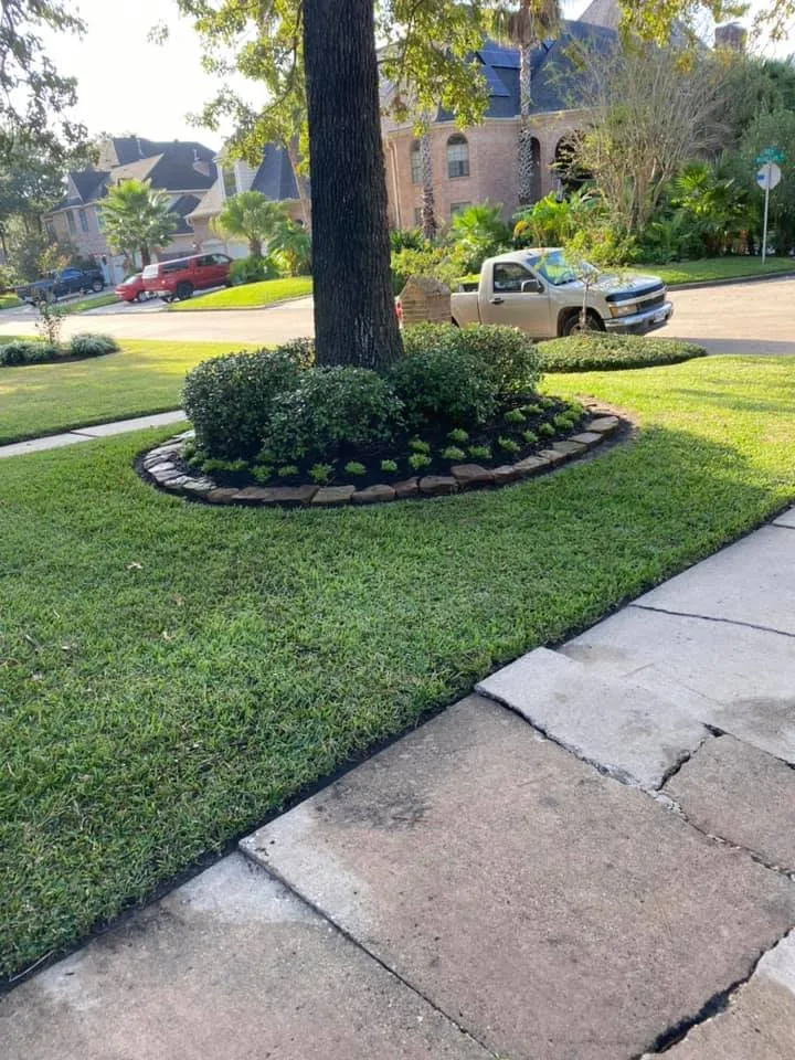 Affordable outdoor landscaping in Magnolia, TX by Montenegro Landscaping Services