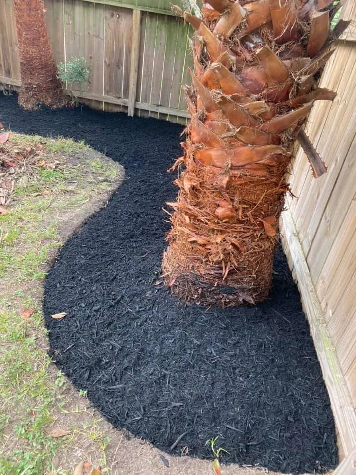 Professional landscaping services in Magnolia, TX by Montenegro Landscaping Services