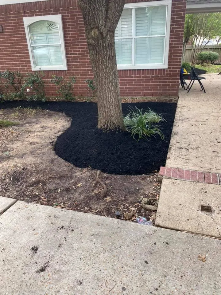 Reliable yard maintenance in Magnolia, TX by Montenegro Landscaping Services