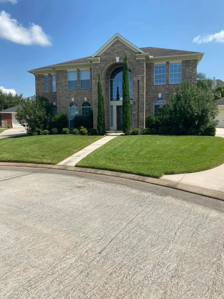 Professional yard cleanup service in Magnolia, TX - Montenegro Landscaping Services