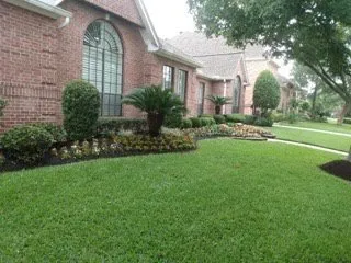 Trusted landscaping services in Magnolia, TX - Montenegro Landscaping Services
