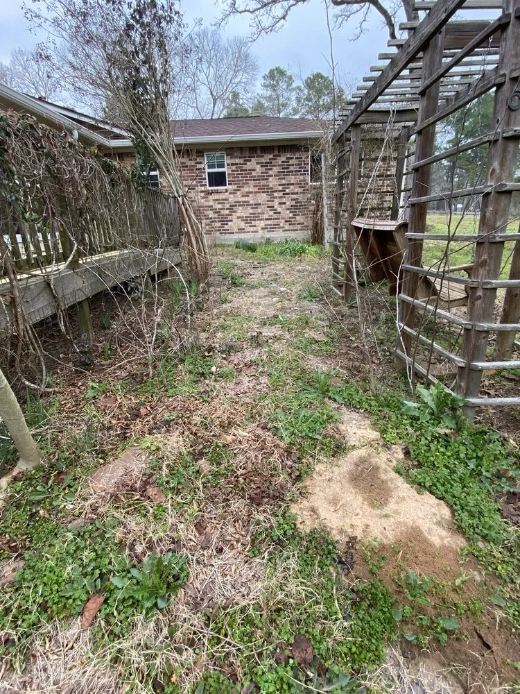 Top-rated lawn care service in Magnolia, TX by Montenegro Landscaping Services