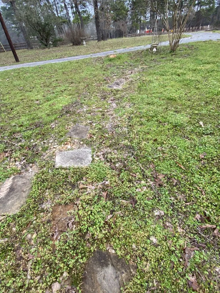 Custom landscape design near you across Magnolia, TX - Montenegro Landscaping Services