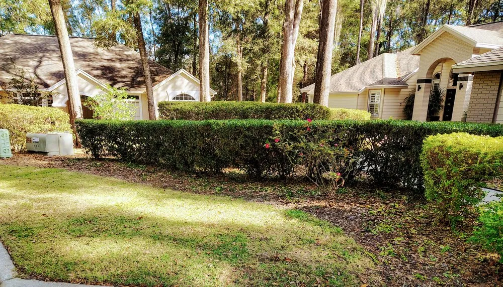 Custom landscape installation for homes in Gainesville, FL by Monteocha Lawn Care Services