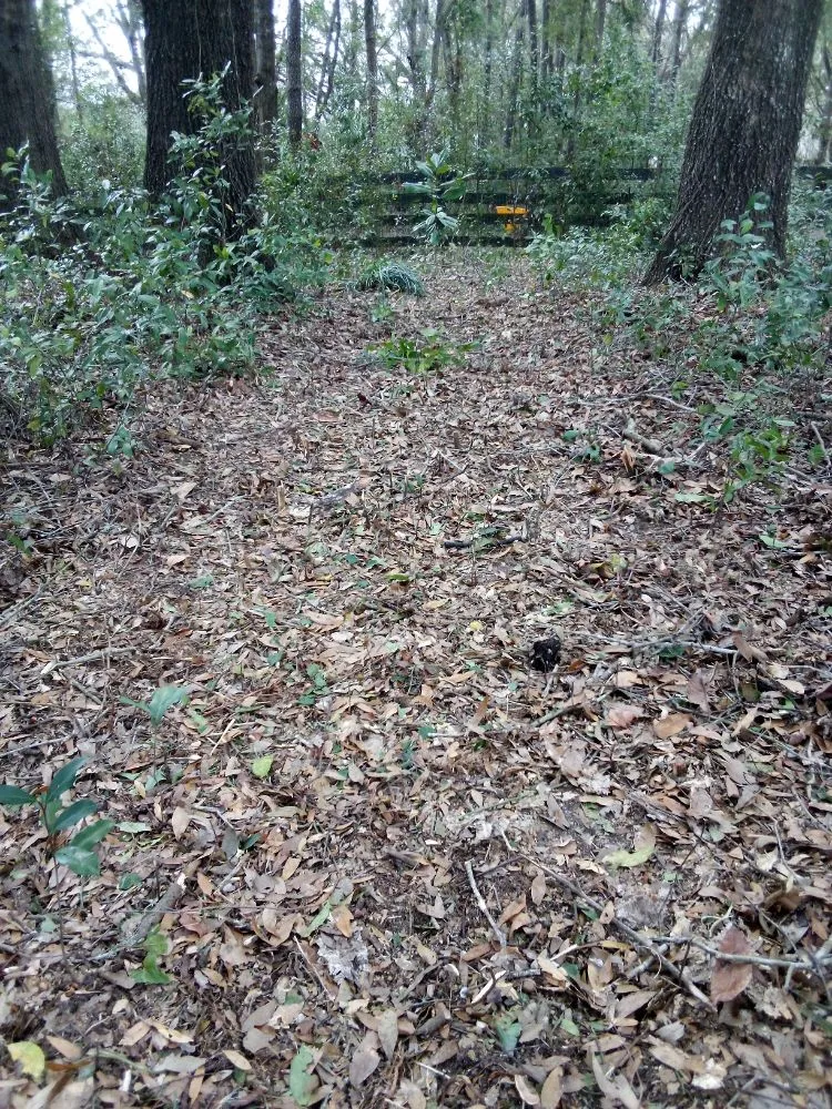 Affordable lawn care service for year-round maintenance in Gainesville, FL by Monteocha Lawn Care Services