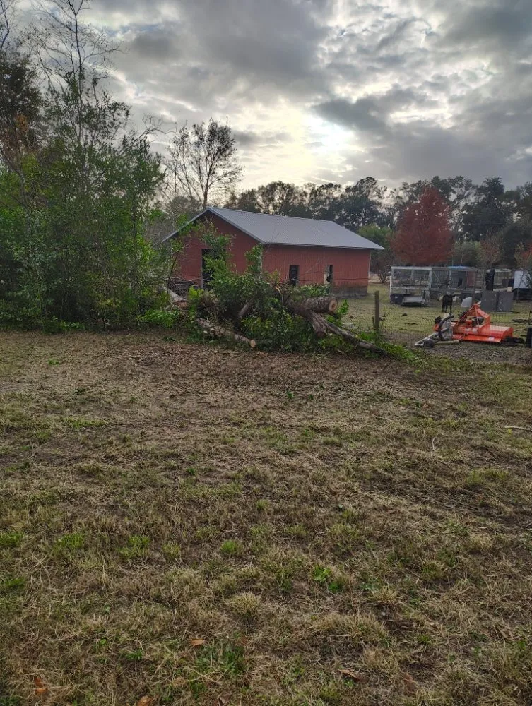 Custom outdoor landscaping for outdoor upgrades in Gainesville, FL by Monteocha Lawn Care Services