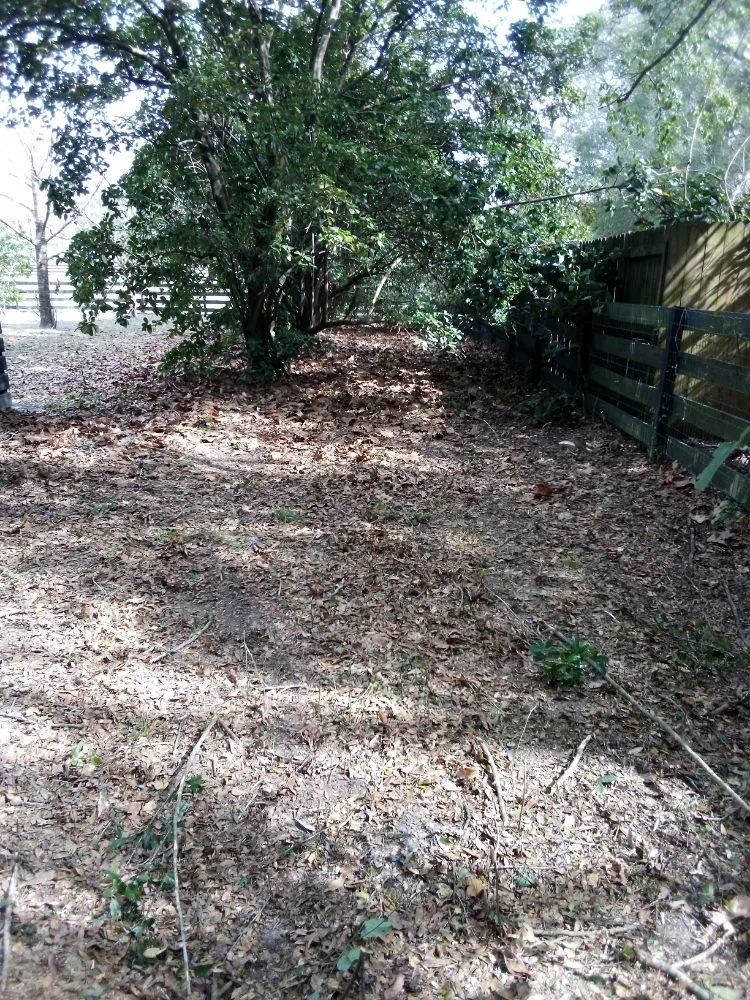 Affordable landscaping services in Gainesville, FL - Monteocha Lawn Care Services