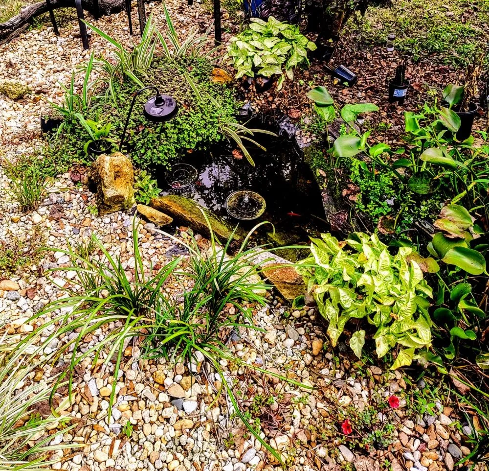 Reliable yard maintenance in Gainesville, FL by Monteocha Lawn Care Services