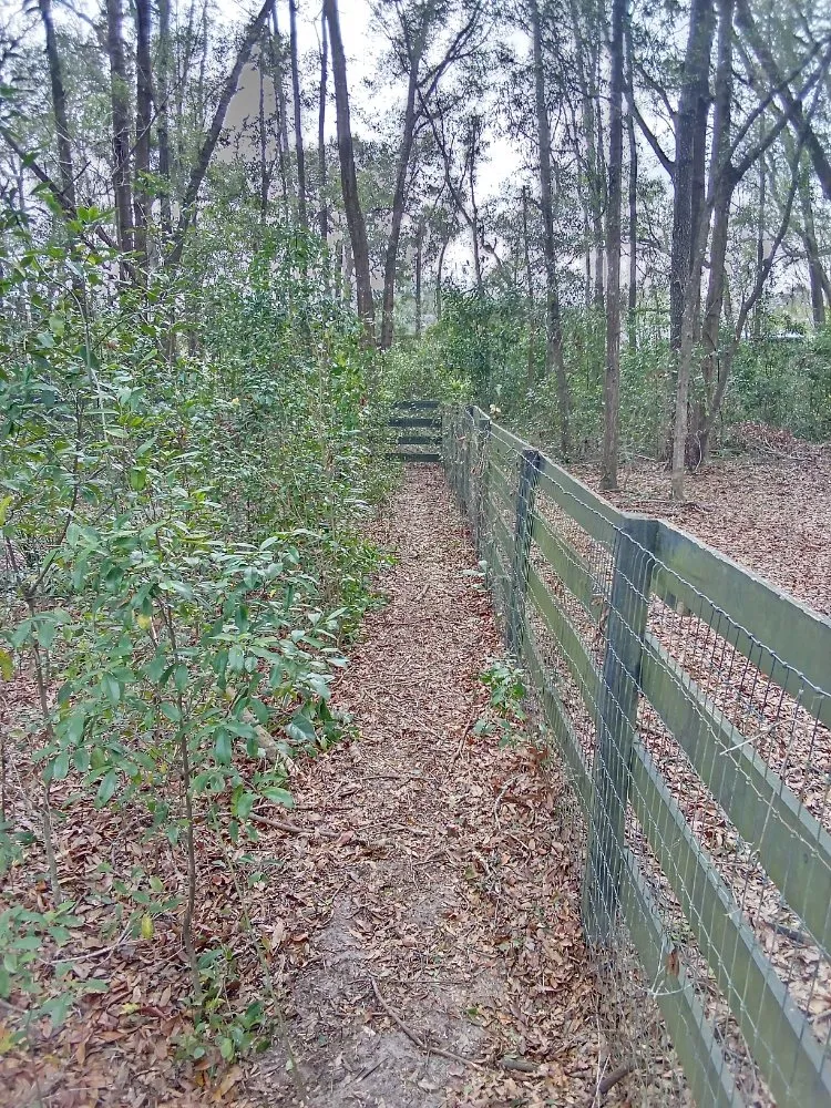 Local yard cleanup service in Gainesville, FL - Monteocha Lawn Care Services