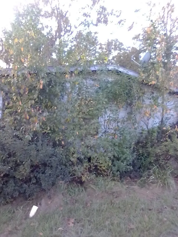 Reliable residential landscaping experts serving Gainesville, FL - Monteocha Lawn Care Services