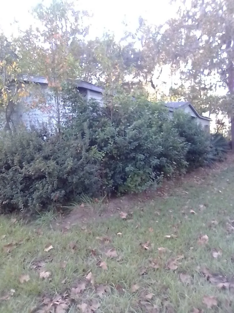 Professional outdoor landscaping for outdoor upgrades in Gainesville, FL by Monteocha Lawn Care Services