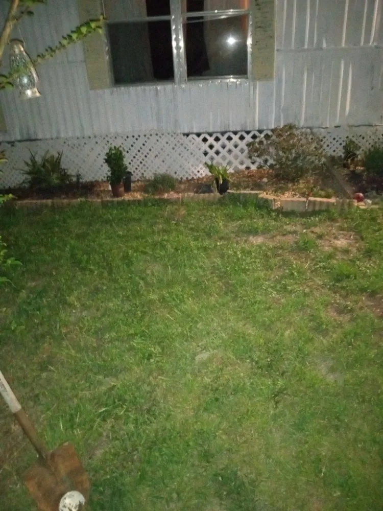 Local yard cleanup service experts serving Gainesville, FL - Monteocha Lawn Care Services