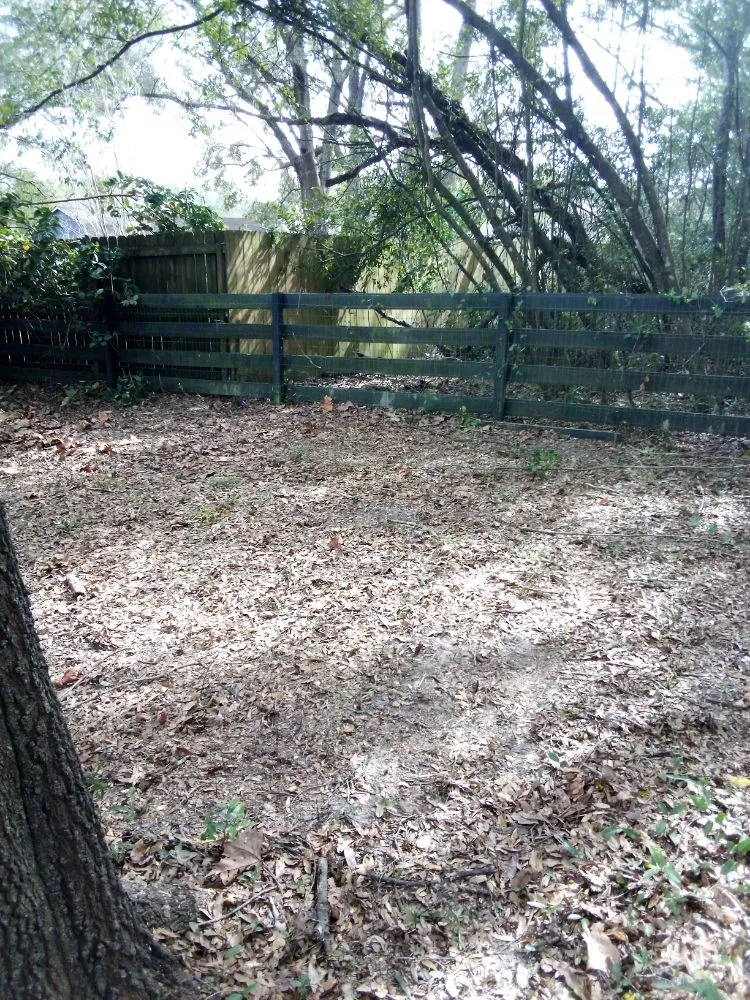 Top-rated lawn mowing service near you in Gainesville, FL by Monteocha Lawn Care Services