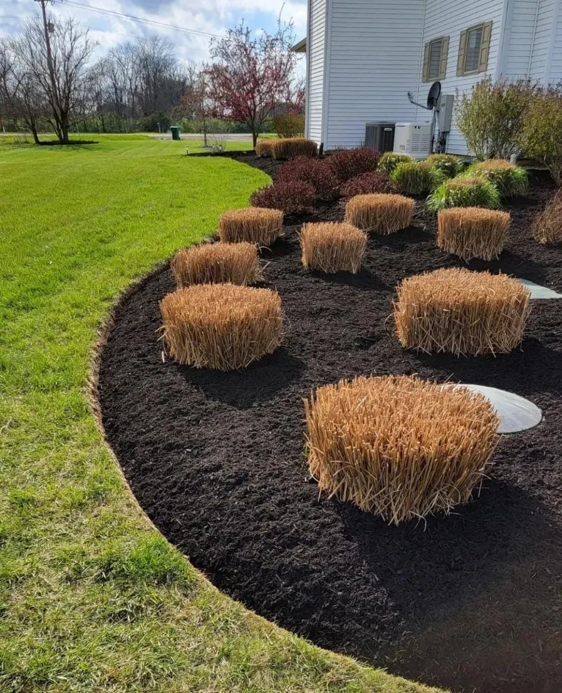 Reliable yard cleanup service experts serving Lake Forest, CA - Monterde Landscaping