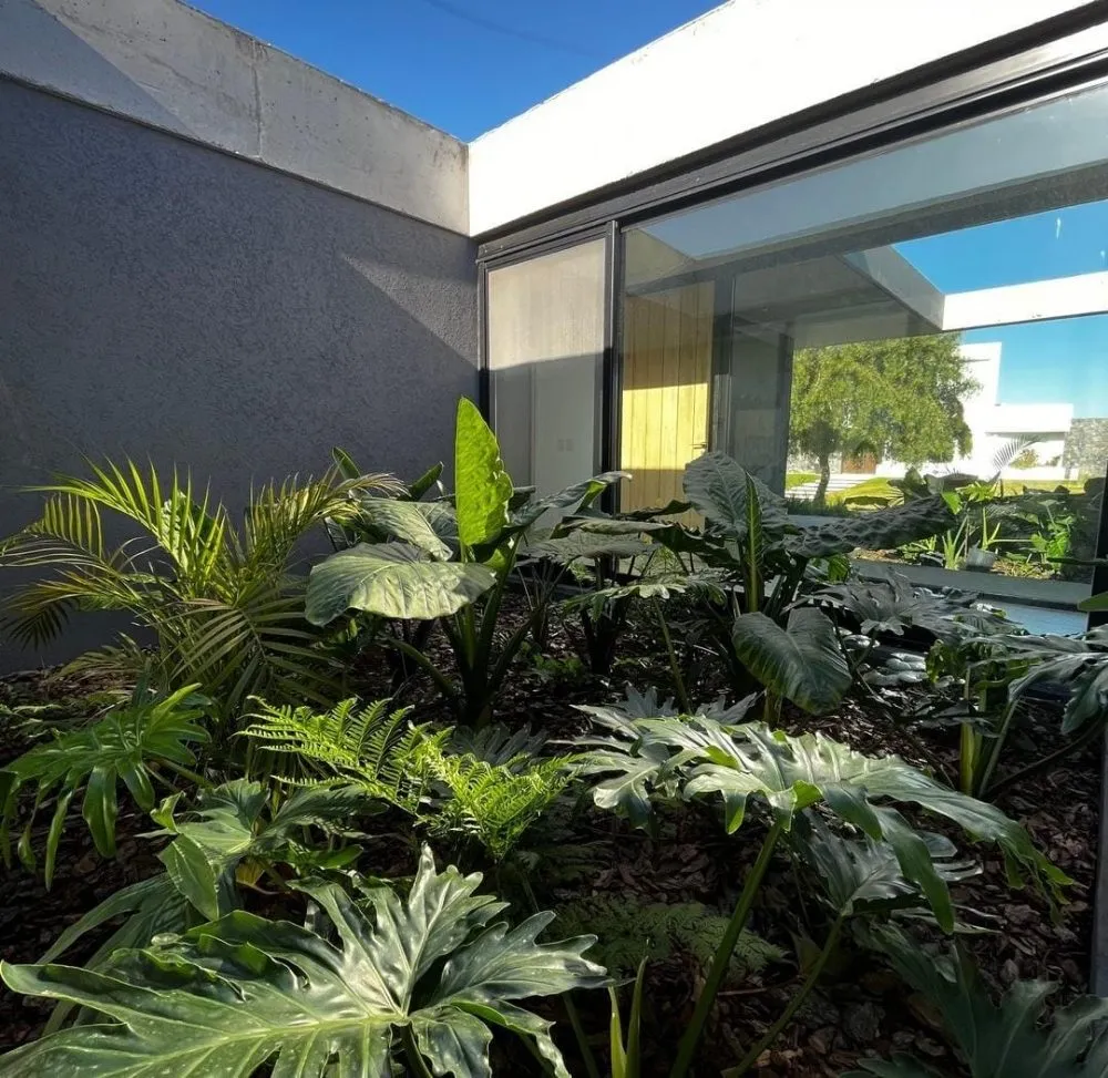 Top-rated landscape installation in Lake Forest, CA - Monterde Landscaping