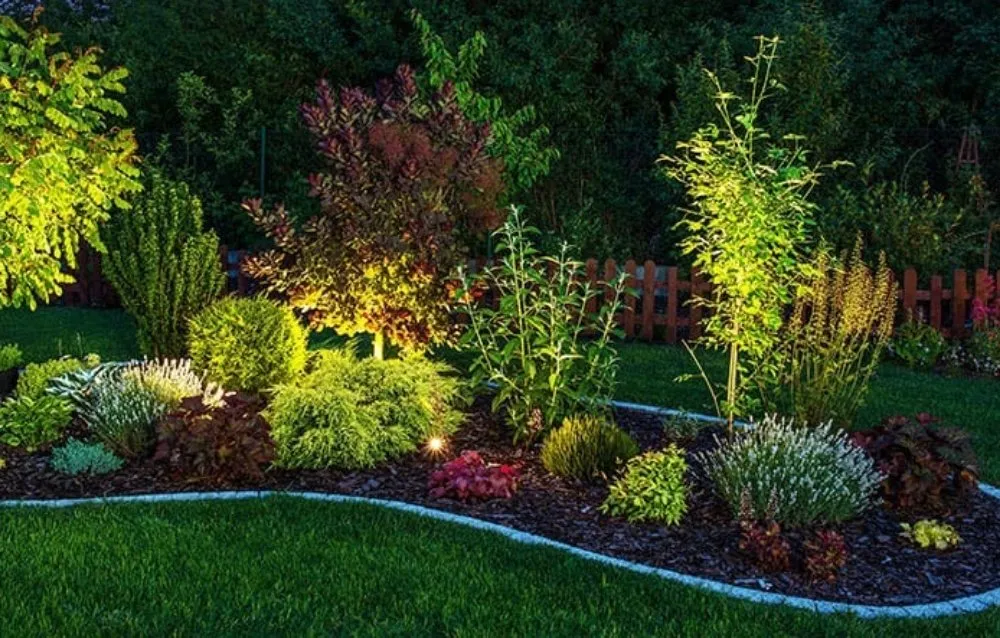 Top-rated lawn care service for beautiful yards in Lake Forest, CA by Monterde Landscaping