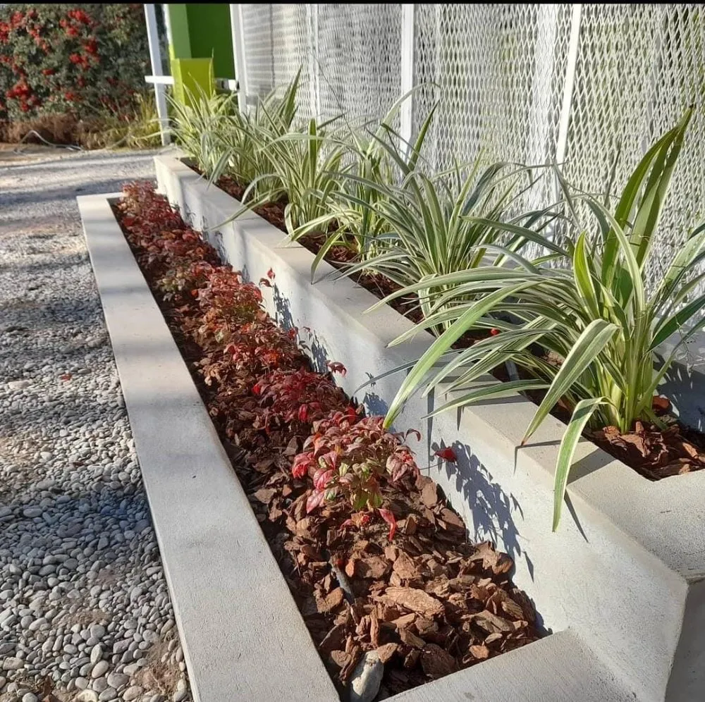 Expert yard cleanup service in Lake Forest, CA - Monterde Landscaping