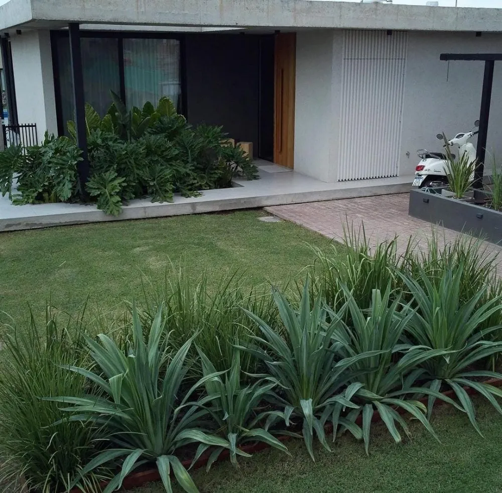 Professional outdoor landscaping experts serving Lake Forest, CA - Monterde Landscaping