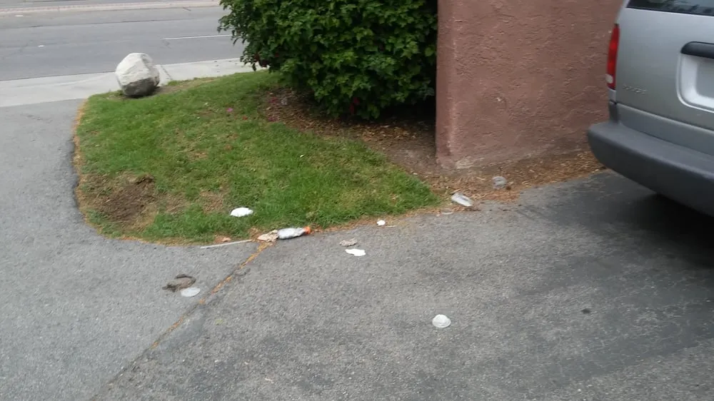 Affordable landscaping services in Santa Ana, CA by Monterey Villas