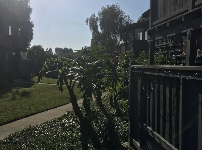 Trusted lawn care service for year-round maintenance in Santa Ana, CA by Monterey Villas