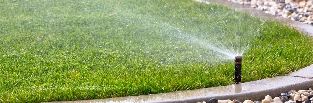 Local yard maintenance experts serving Waxahachie, TX - Montero Landscape and Irrigation
