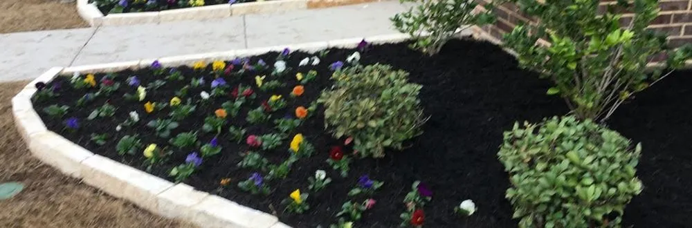 Expert landscape design experts serving Waxahachie, TX - Montero Landscape and Irrigation