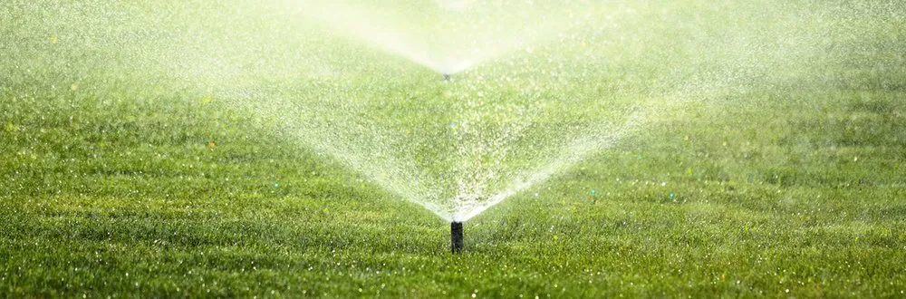 Expert outdoor landscaping experts serving Waxahachie, TX - Montero Landscape and Irrigation