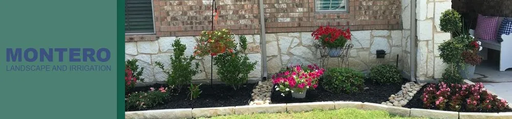 Expert yard cleanup service for year-round maintenance in Waxahachie, TX by Montero Landscape and Irrigation