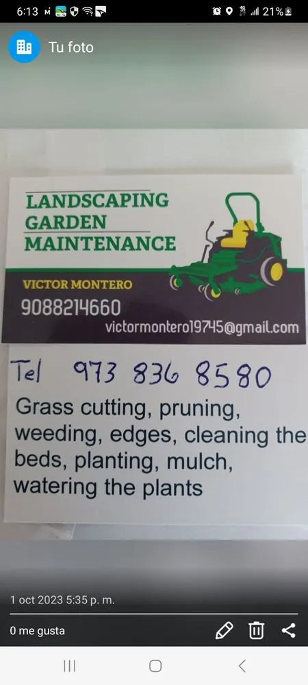 Local lawn care service with custom design across Chandler, AZ - Montero Landscaping