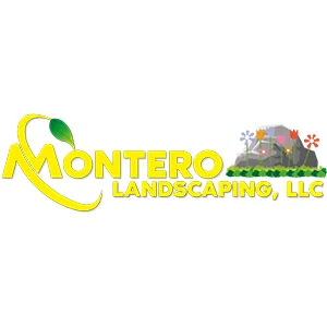 Custom yard maintenance in Chandler, AZ - Montero Landscaping