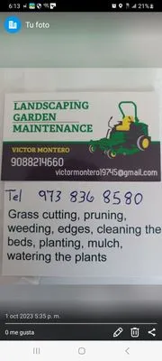 Montero Landscaping Logo