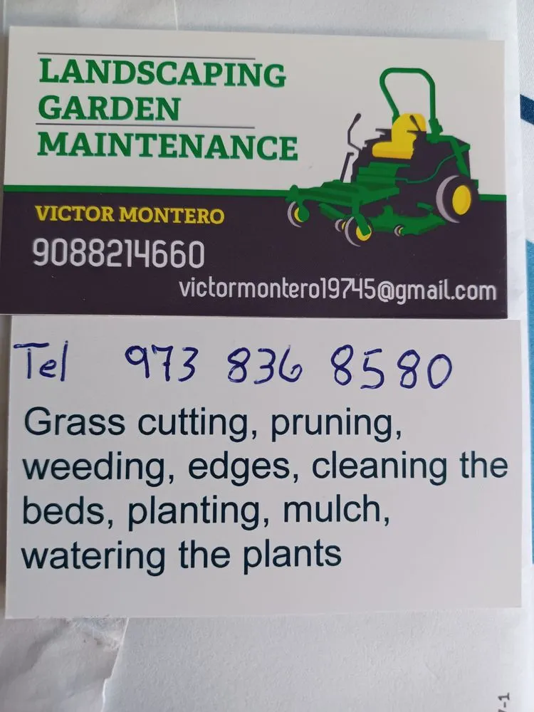 Local yard cleanup service experts serving Maplewood, NJ - Montero Landscaping