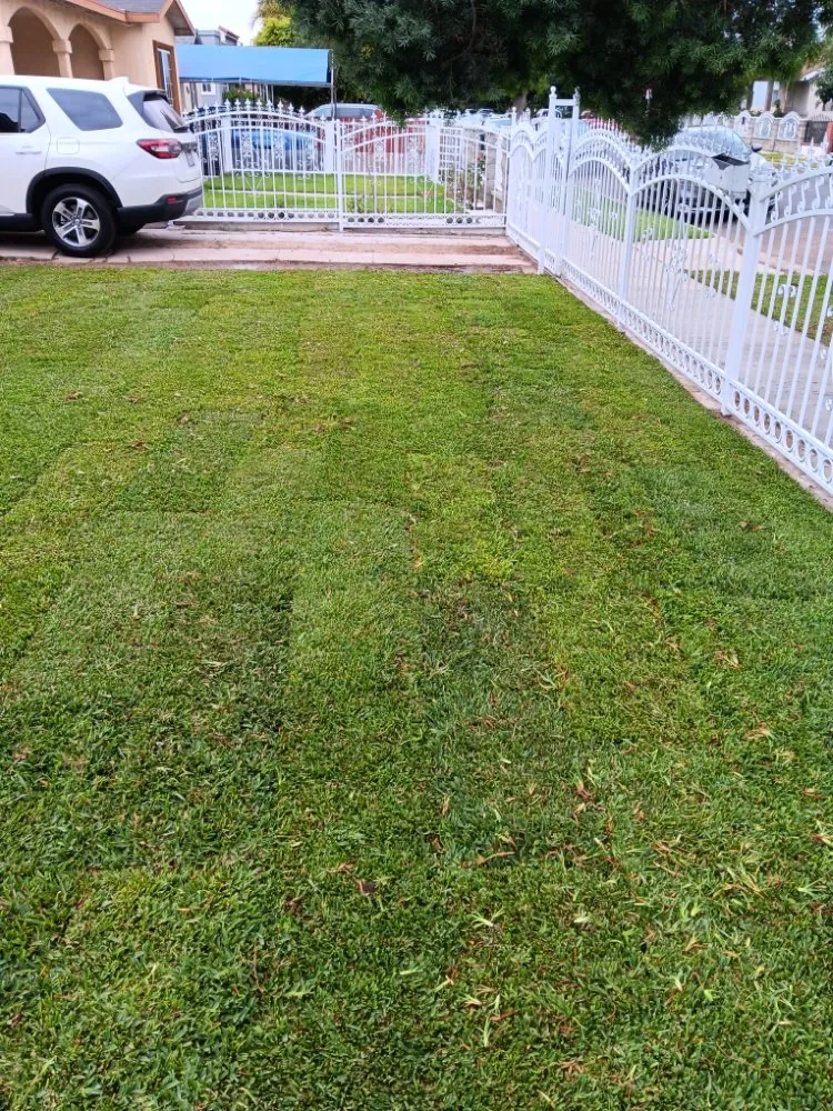 Reliable landscaping services for beautiful yards across Los Angeles, CA - Monteros Landscaping