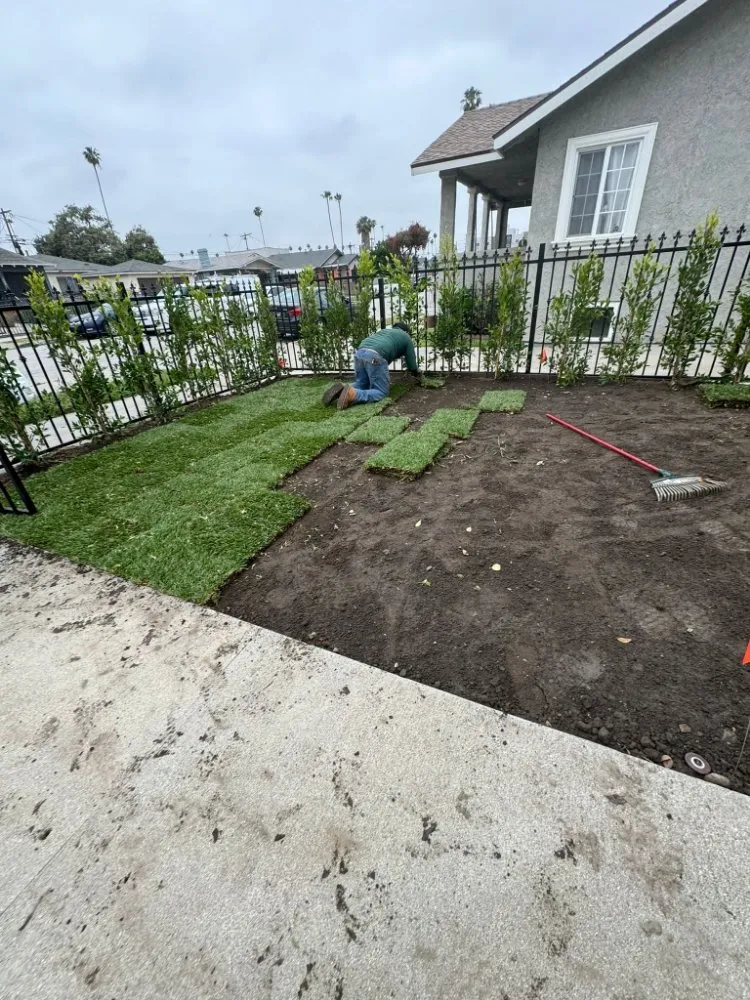 Professional yard maintenance in Los Angeles, CA - Monteros Landscaping