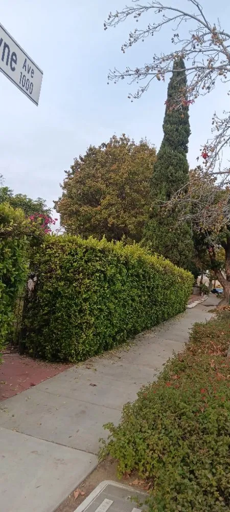 Custom landscaping services with custom design in Los Angeles, CA by Monteros Landscaping