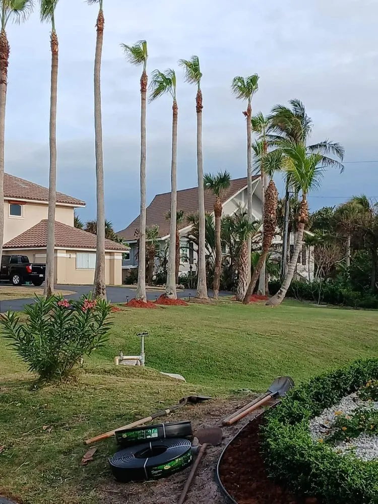 Reliable lawn mowing service experts serving Los Angeles, CA - Monteros Landscaping