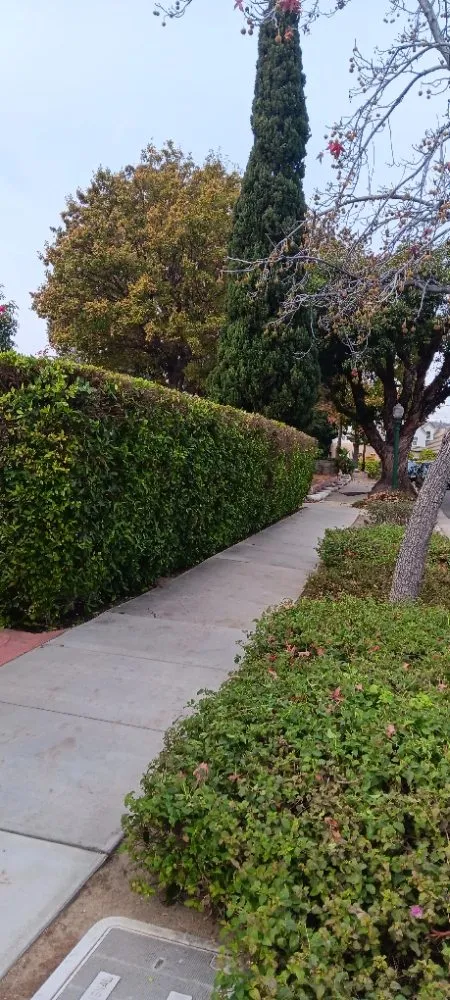 Custom residential landscaping with custom design across Los Angeles, CA - Monteros Landscaping