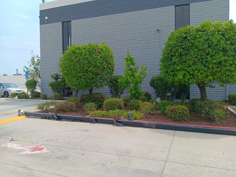 Affordable landscape design experts serving Los Angeles, CA - Monteros Landscaping