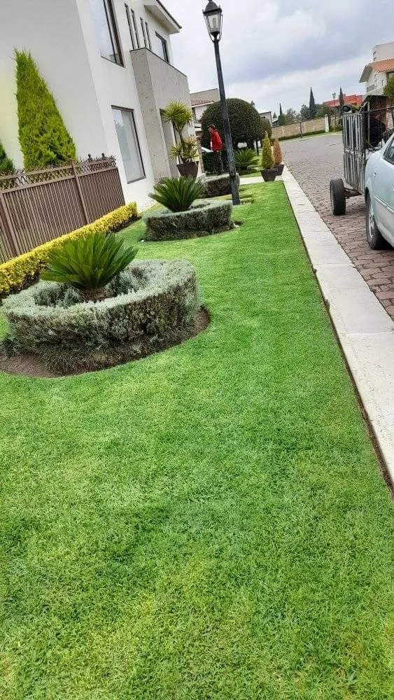 Trusted lawn mowing service in Los Angeles, CA by Monteros Landscaping