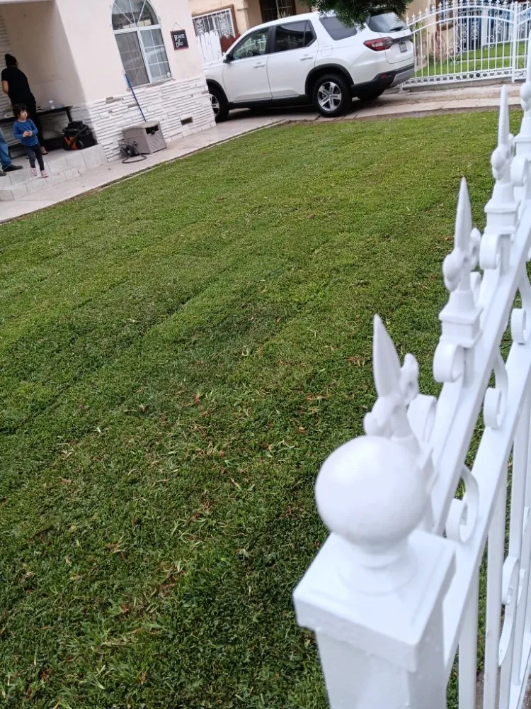 Professional yard maintenance experts serving Los Angeles, CA - Monteros Landscaping