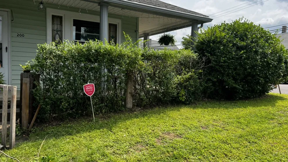 Local yard cleanup service in Hazle Township, PA - Monteros Property Care