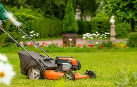 Trusted yard cleanup service for beautiful yards across Nipomo, CA - Montes de Oca Gardening